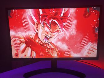 LG 24” Monitor