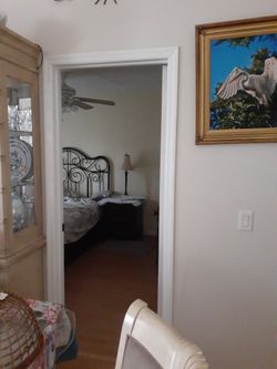 Roommate Needed