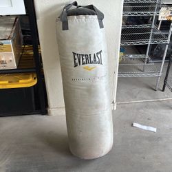 70 Pound Everlast Punching Bag
