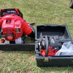Chainsaw And Backpack Blower