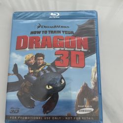 HOW TO TRAIN YOUR DRAGON 3D!
