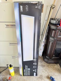 Light Fixture