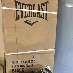 Everlast Punching Bag: With Stand & Gloves 