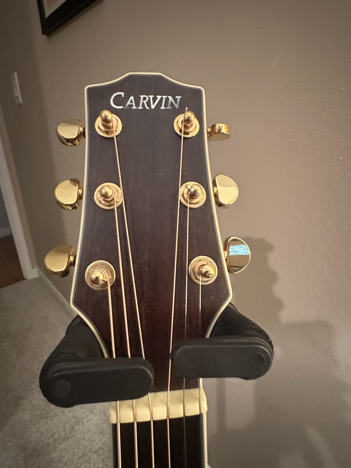 CARVIN Colbalt  980 Acoustic / electric guitar