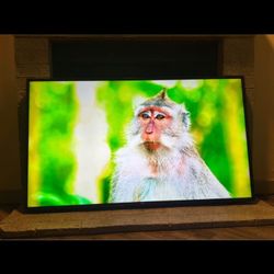 LG 55’ Inch 4K Smart …$100.00!!!