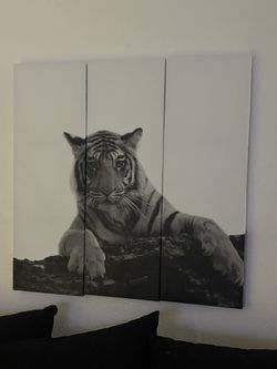 Wall Decor