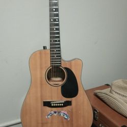 Acoustic Electric Carlos Ebony Frets Smith 1960 