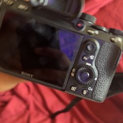 Sony Alpha A7iii Mirrorless Frame 