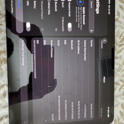 iPad M4 256 Gb