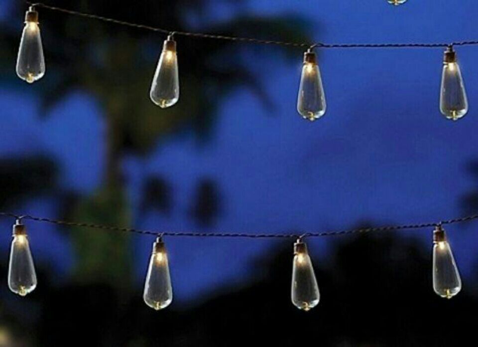 Lawn & Garden International Edison bulb string lights