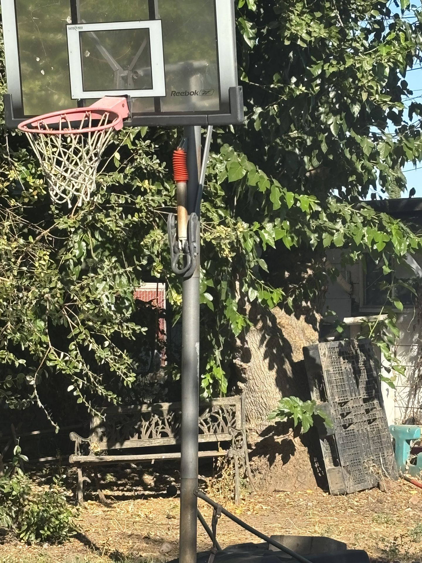 Basketball Hoop