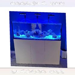Large Aquarium Tank - Roomy & Beautiful card leave