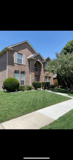 Lawn…..Mower