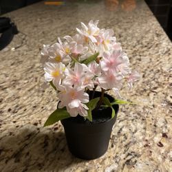 Small Ikea artificial flower plant $3