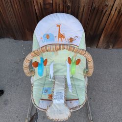 Baby Bouncer
