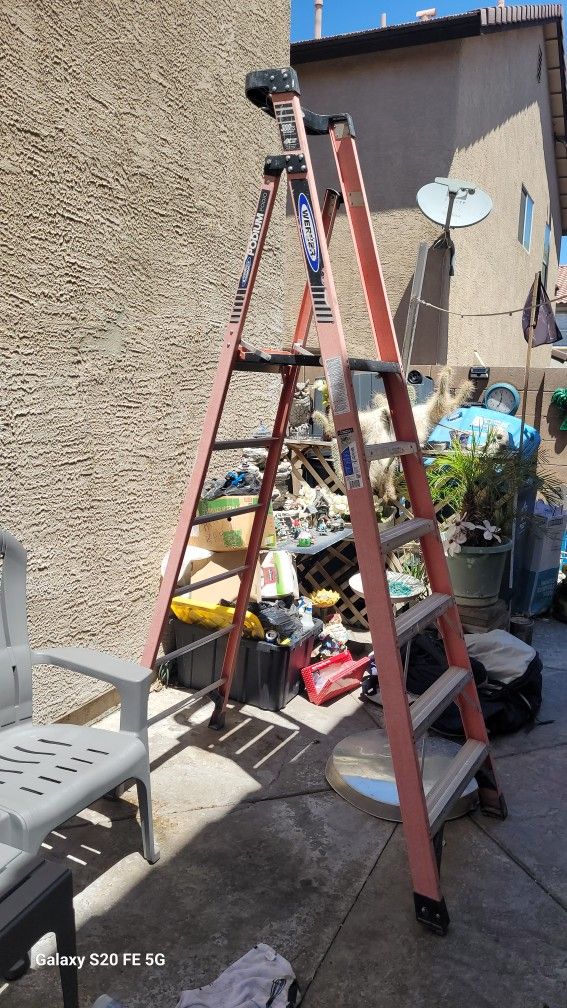 6ft Ladder