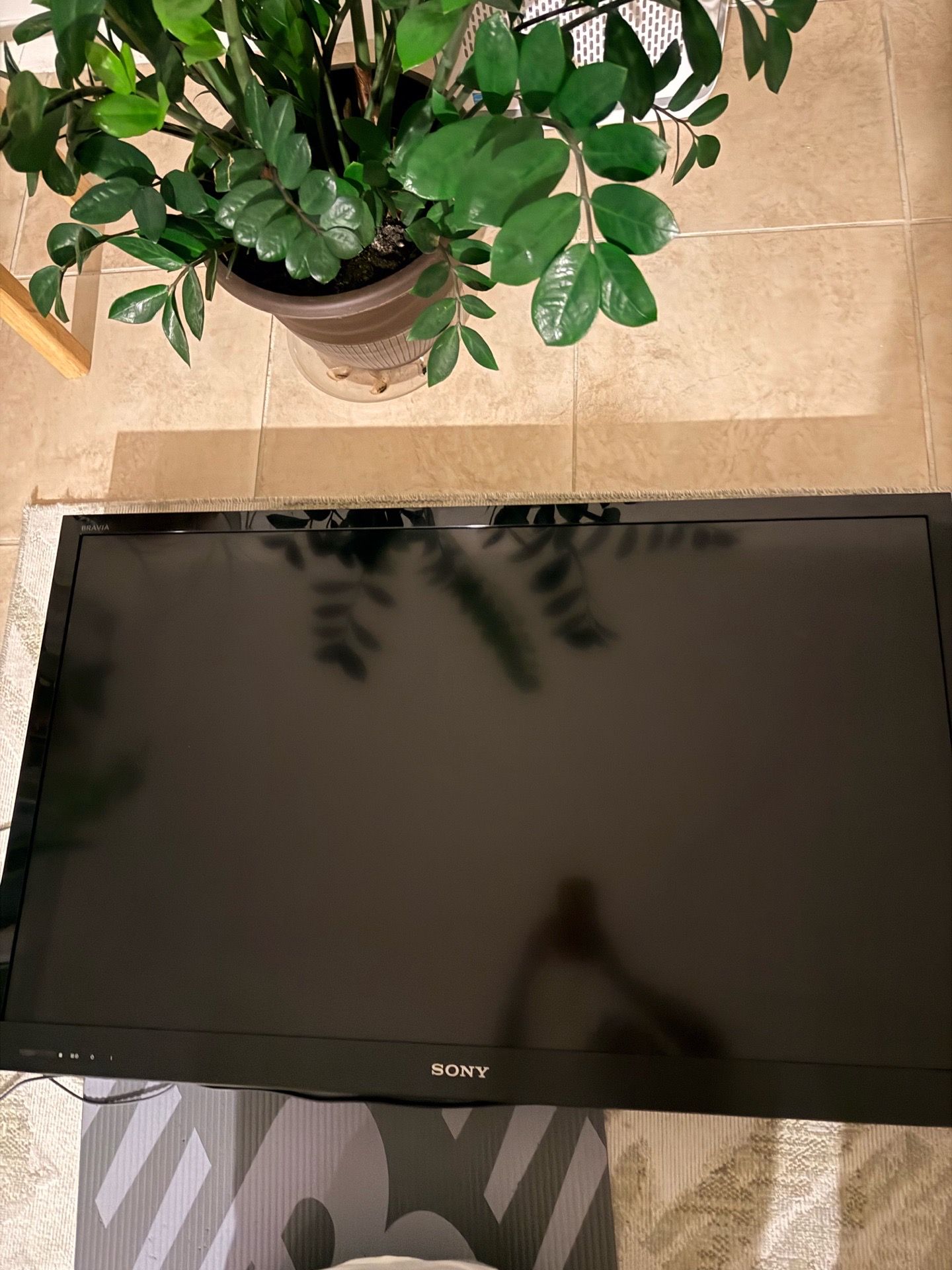 TV