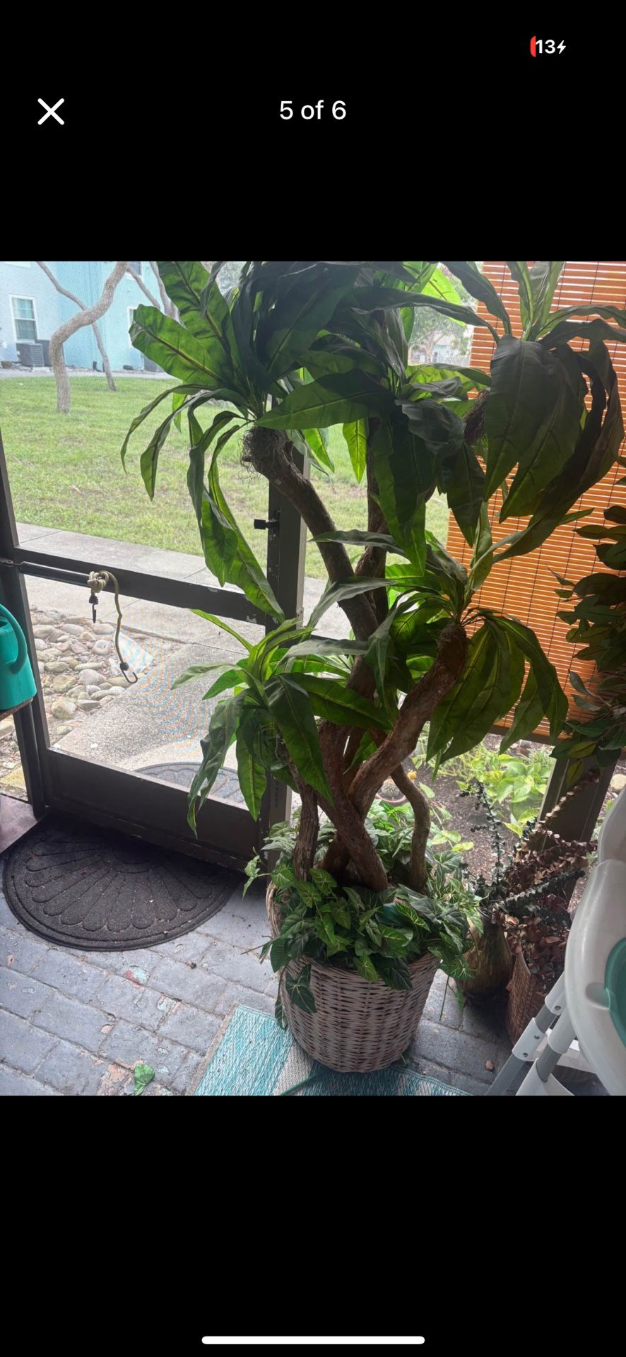 Artificial Trees And Little Tike Basketball Hoop