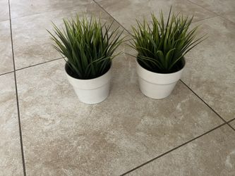 Set Of 2 Plants In Ceramic Pot