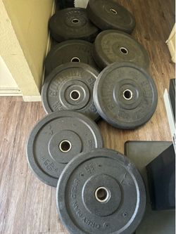 Bumper weights 6x45 and 2x25 lbs $80 PER PAIR FOR 45s $50 FOR THE PAIR OF 25s
