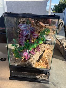 Zoo Med 12x12x18 Reptile Terrarium with Decor