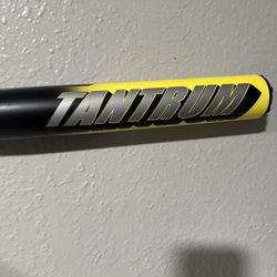 Easton Softball Bats 