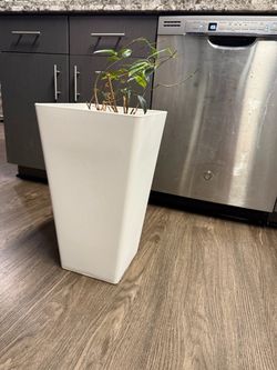 Patio plant container