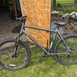 21-in Mountain Bike
