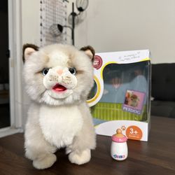 CU-MATE Interactive Simulation Kitten – Like New with Box & Bottle