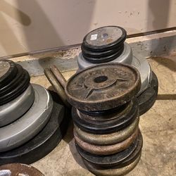 50 Pounds Weights