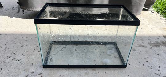 10 gallon aquarium