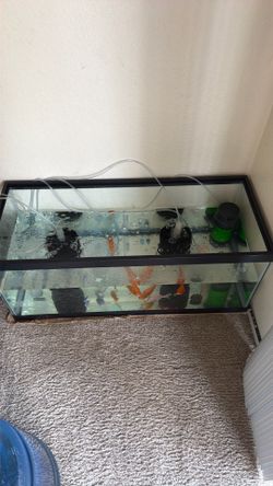 20 gallon tank with ,medium to big size fish and two glow ones