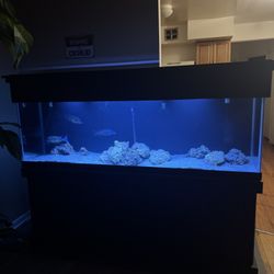 125 Gallons Fish Tank 