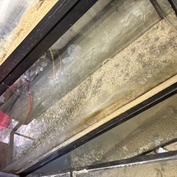 50 gallon fish tank 2 available 