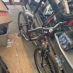 Roadmaster MT sport SX Bike