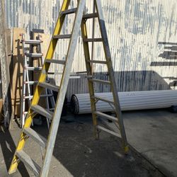 Werner Twin Ladder