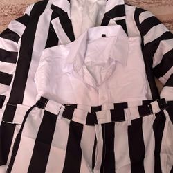 Beetle juice Halloween Costume