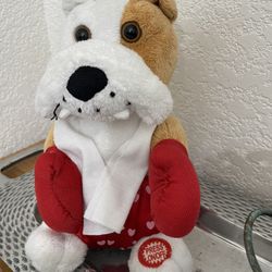 Singing And dancing Bulldog To “ Eye Of The tiger”