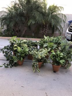 Holiday Living 6.5 Ft 400 Light Clear Prelit Tree In The Box