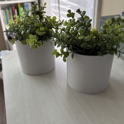 Two faux plants