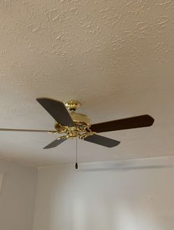 Ceiling Fan