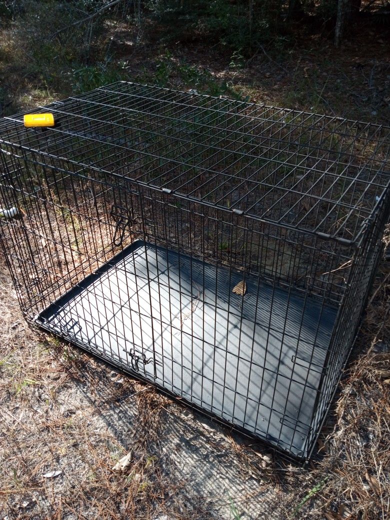 Pet Crate Large