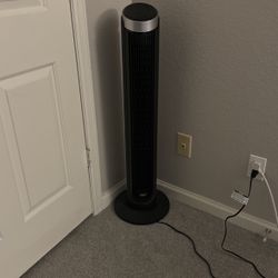 Fan