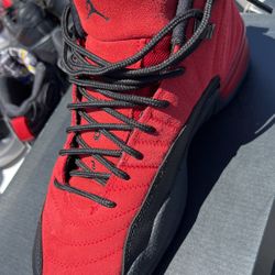 Jordan’s 12 