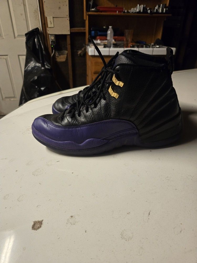 Retro Jordan 12s