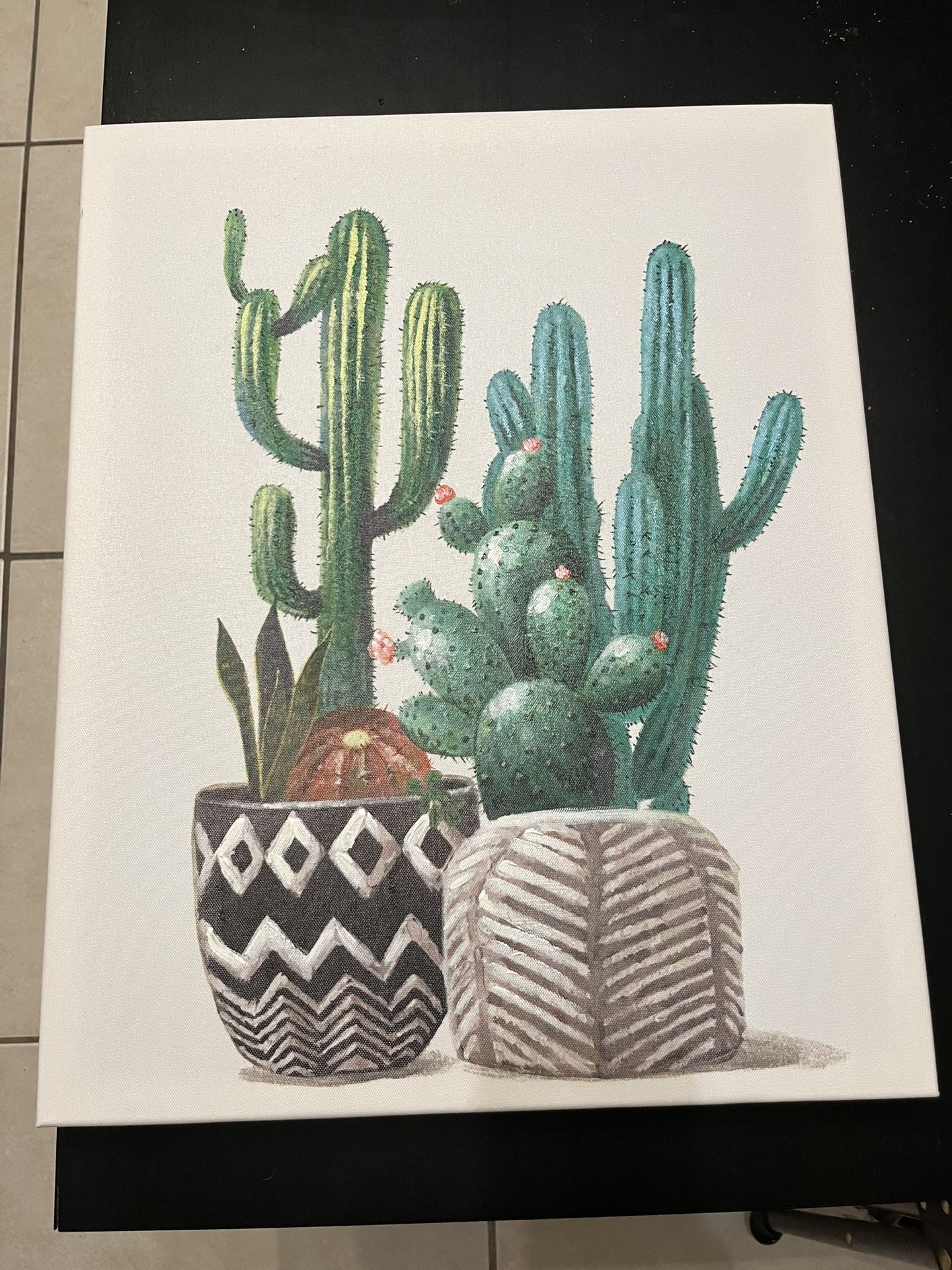 Canvas Picture 16x20