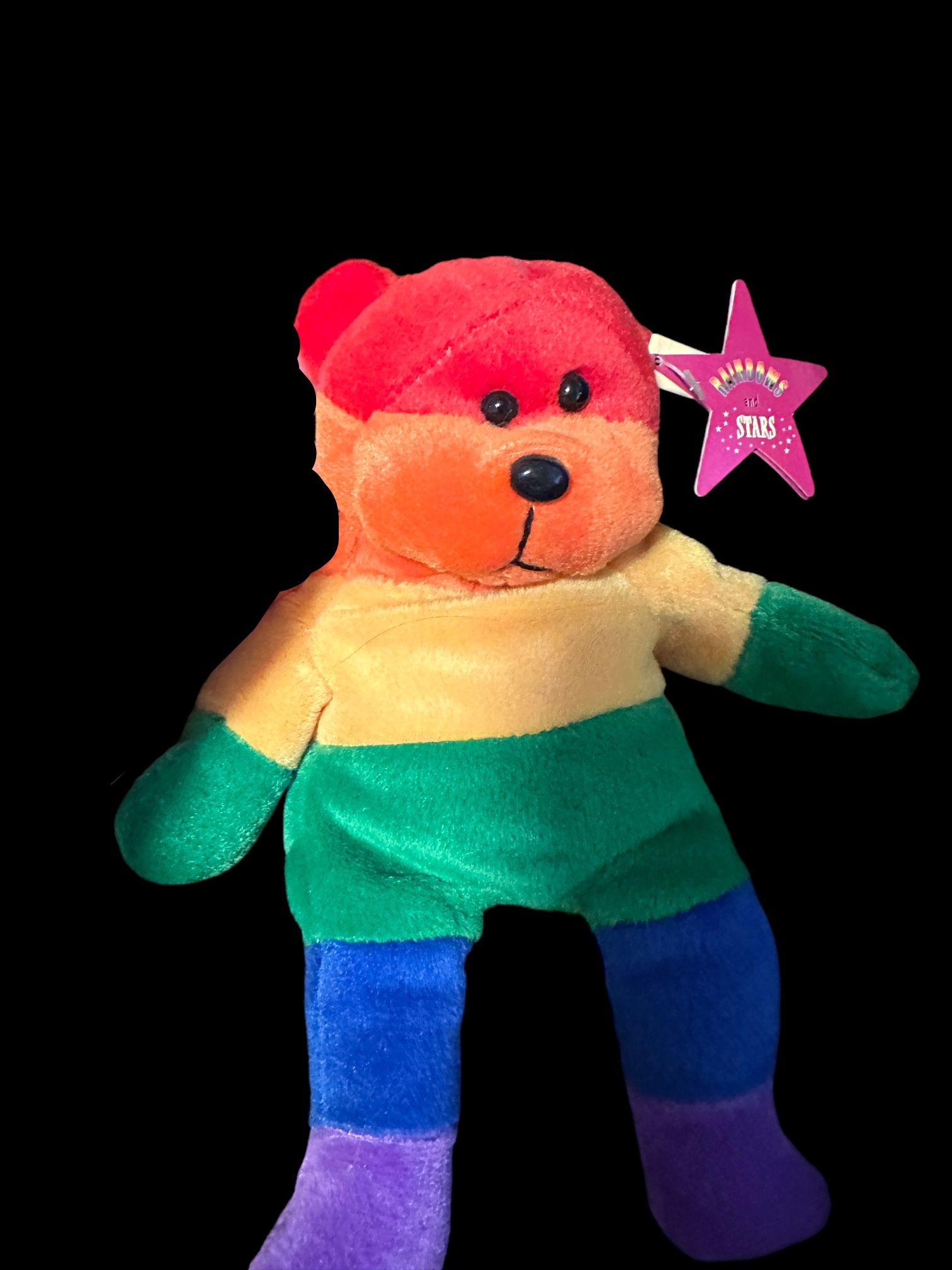 Ty Rainbow Bear