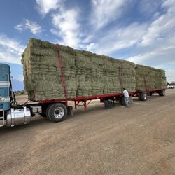 Alfalfa-Bermuda - Mix- Premium Alfalfa 