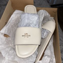Coach Sandals 