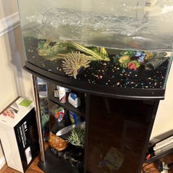 35 Gallon Bow Front Fish Tank With Accessories 